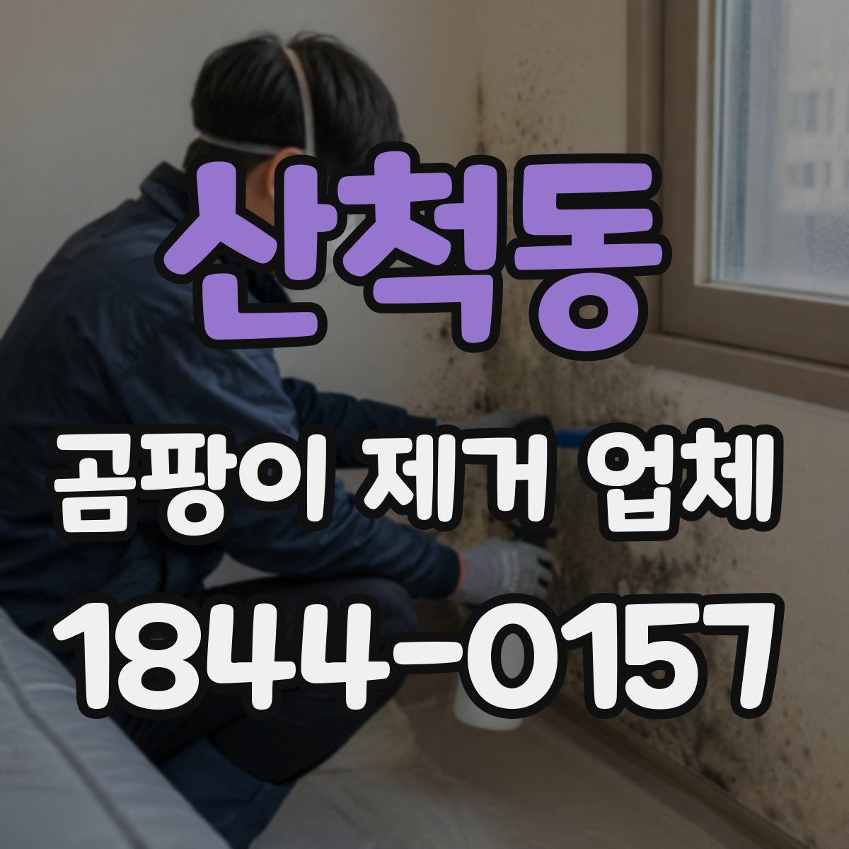 산척동 곰팡이 제거 업체