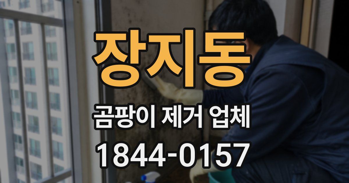 장지동 곰팡이 제거 업체