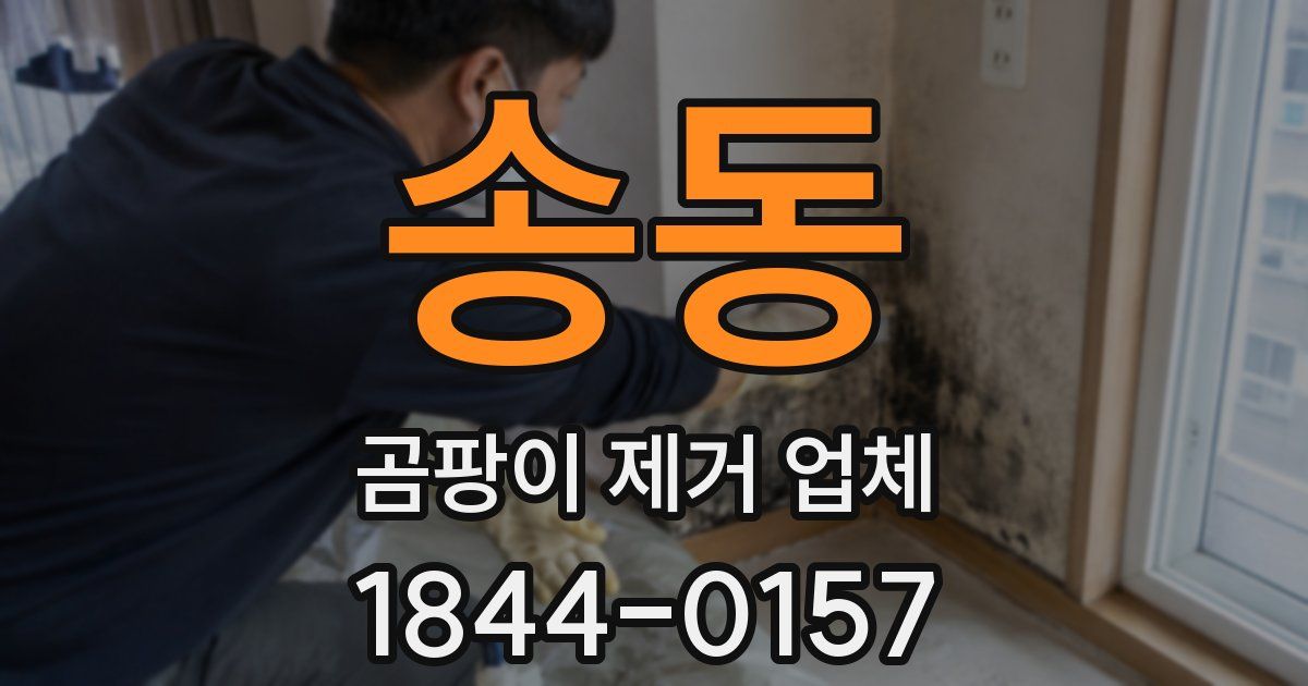 송동 곰팡이 제거 업체