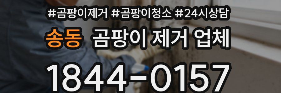 송동 곰팡이 제거 업체