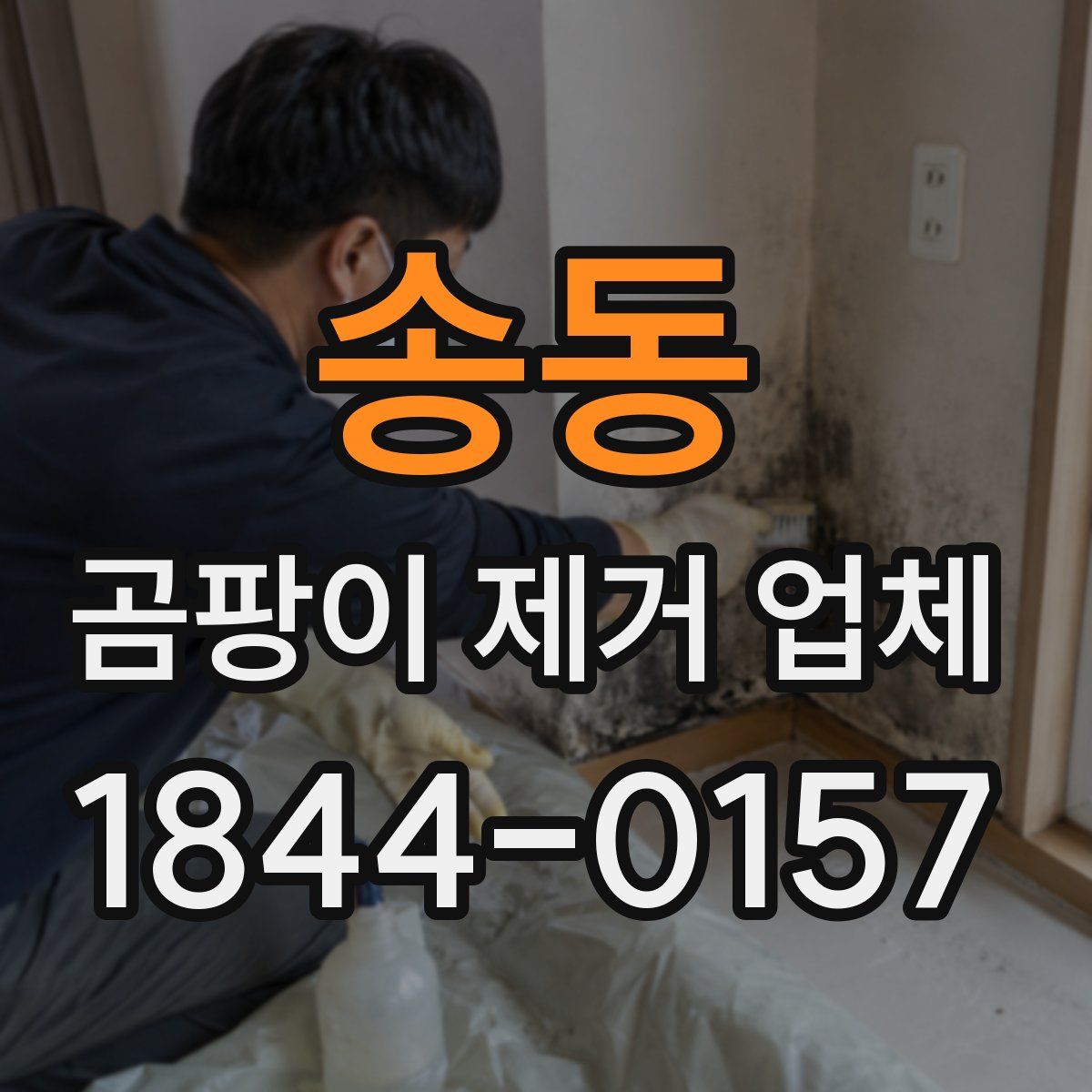 송동 곰팡이 제거 업체