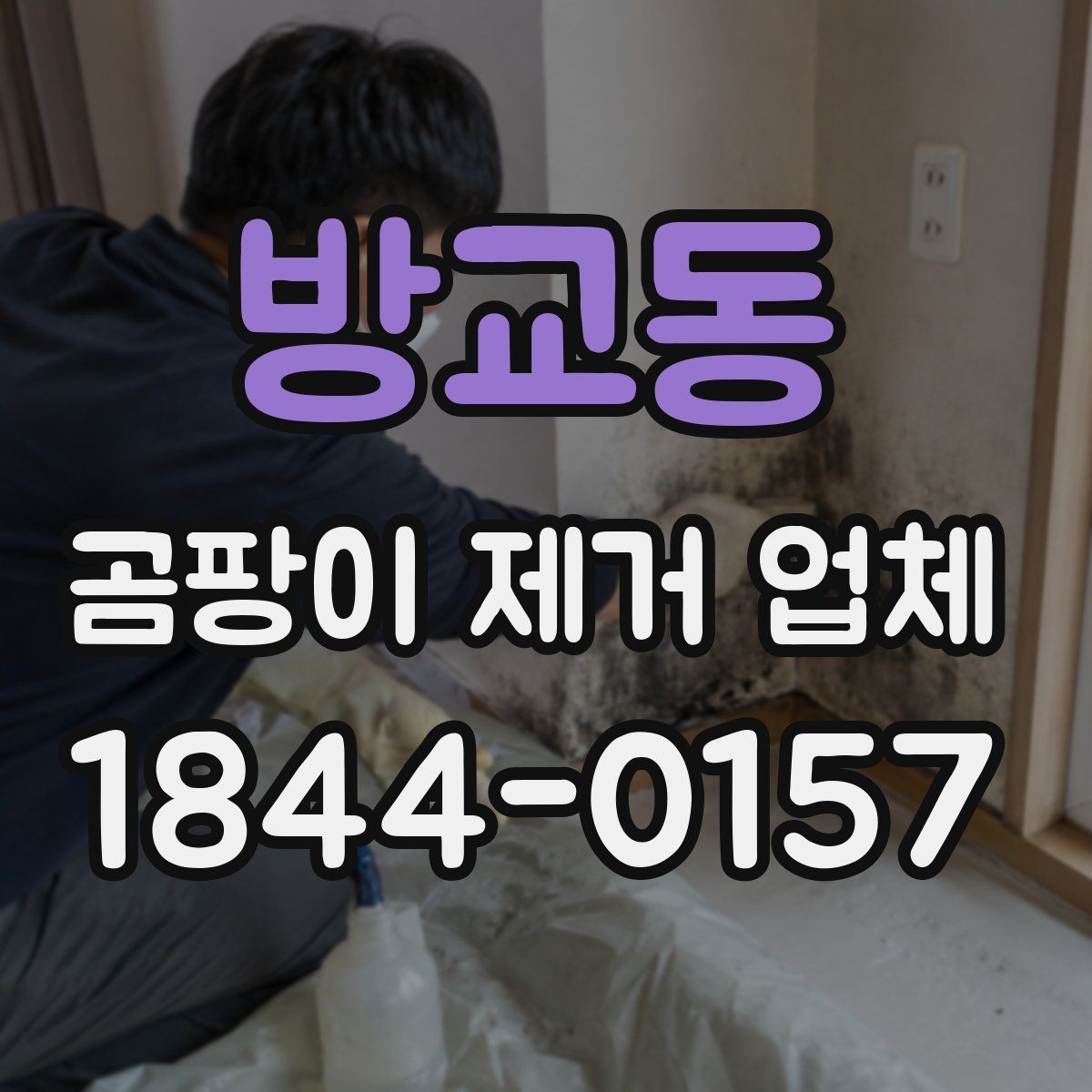 방교동 곰팡이 제거 업체