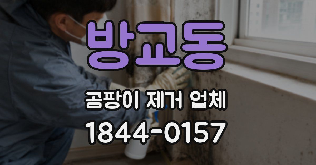 방교동 곰팡이 제거 업체