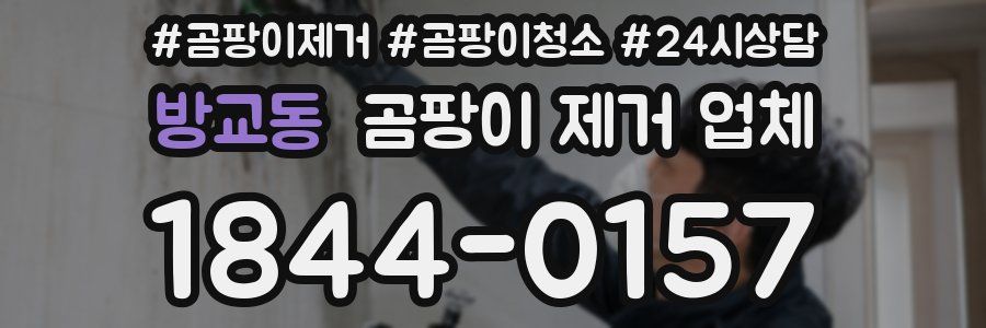 방교동 곰팡이 제거 업체