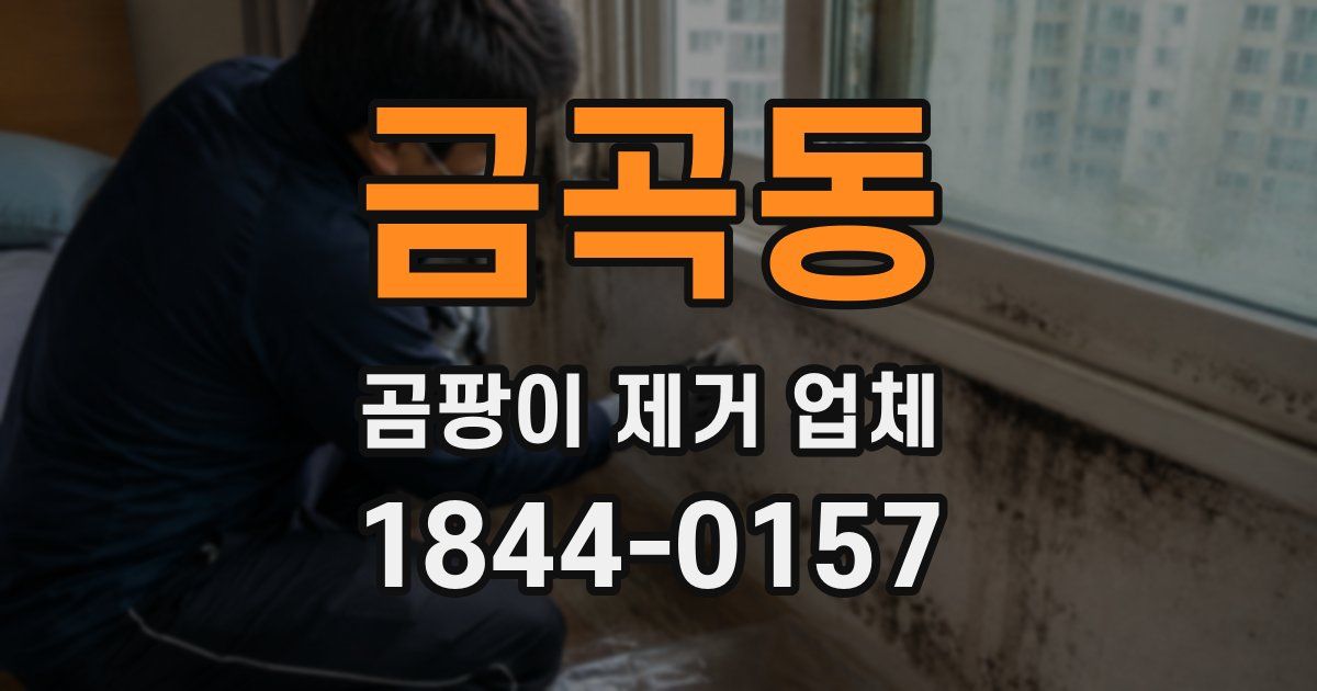 금곡동 곰팡이 제거 업체