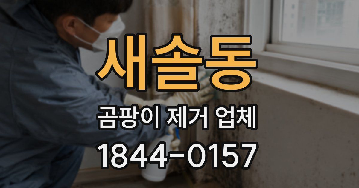 새솔동 곰팡이 제거 업체