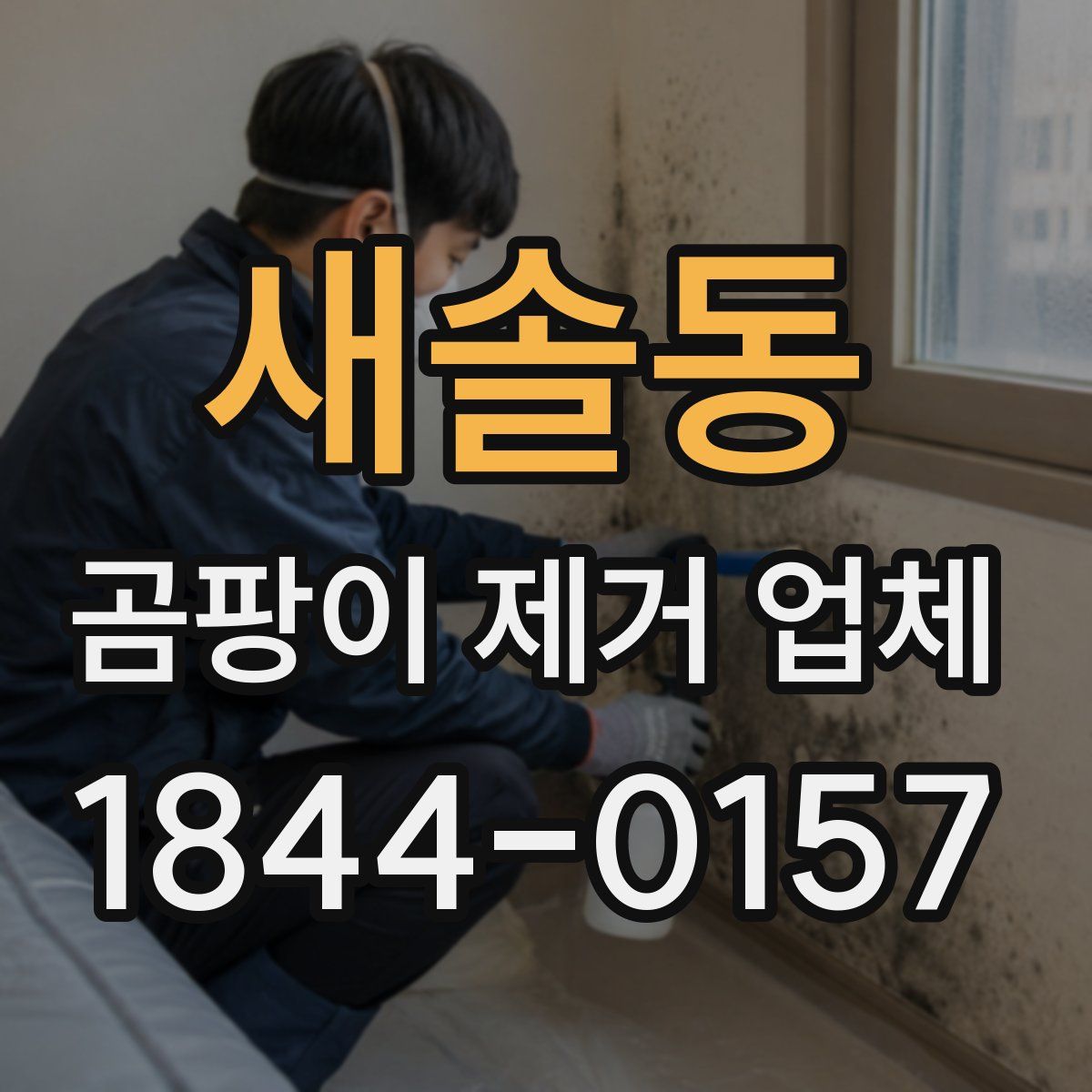 새솔동 곰팡이 제거 업체
