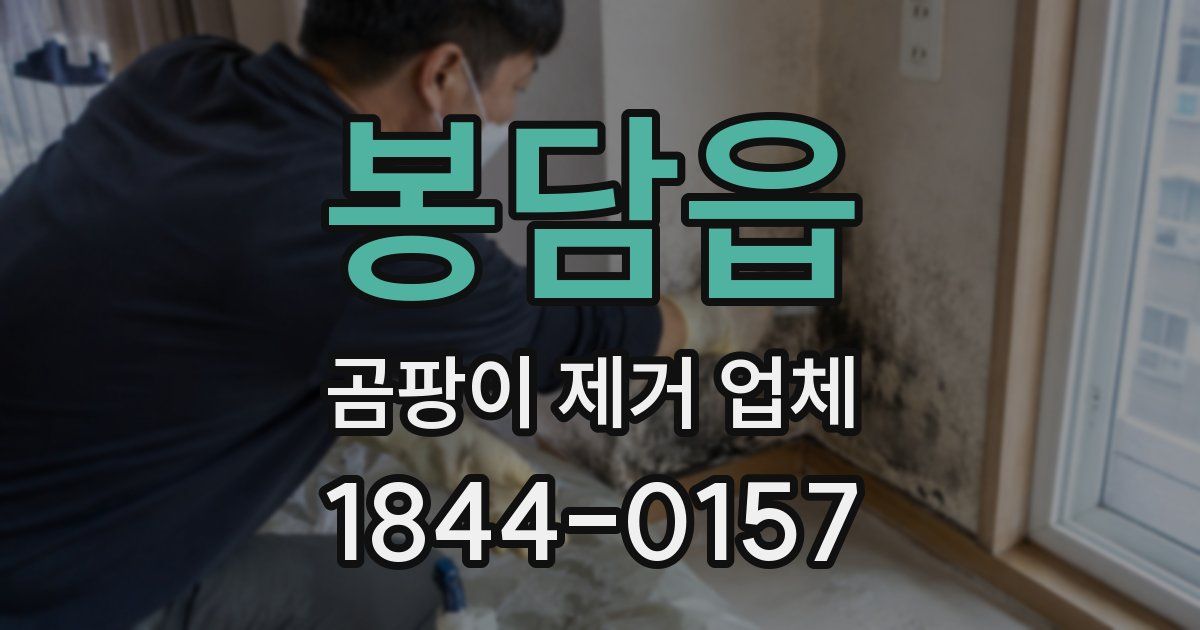 봉담읍 곰팡이 제거 업체