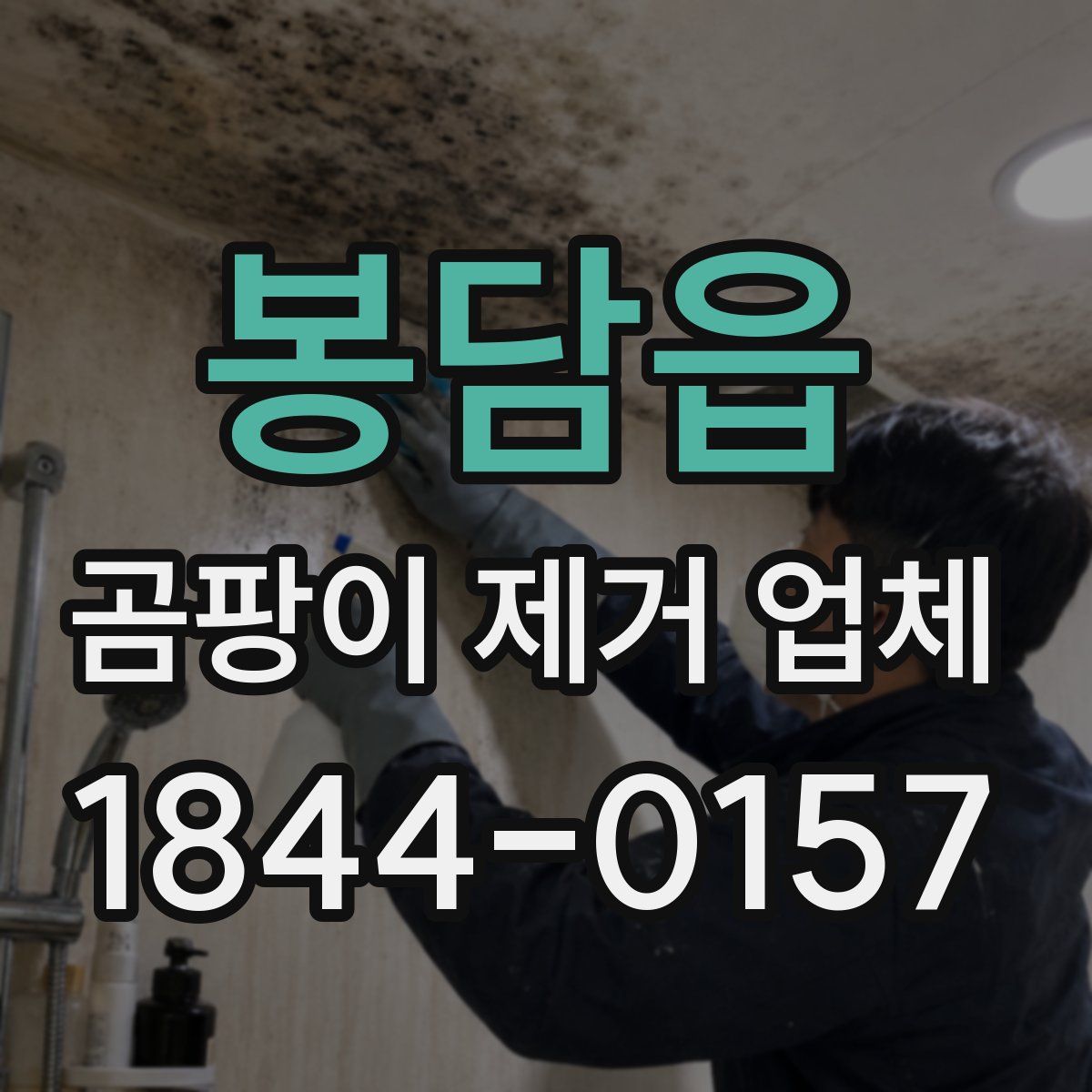 봉담읍 곰팡이 제거 업체