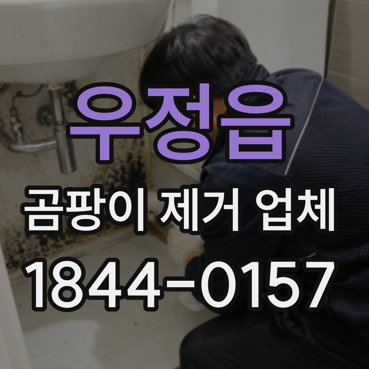 우정읍 곰팡이 제거 업체