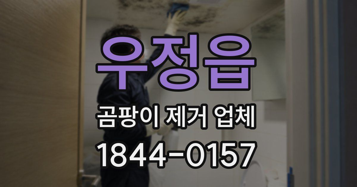 우정읍 곰팡이 제거 업체