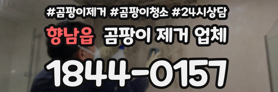 향남읍 곰팡이 제거 업체
