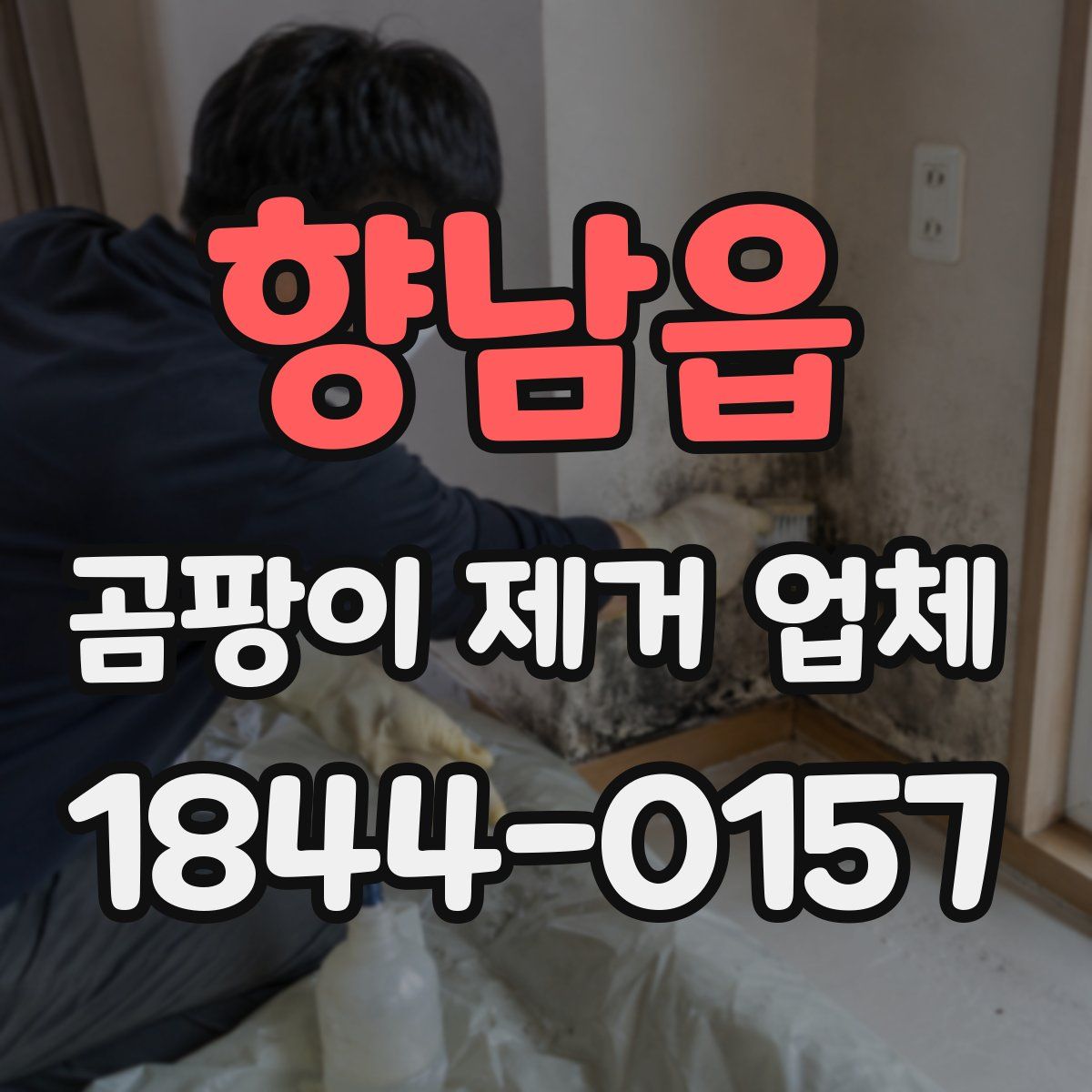 향남읍 곰팡이 제거 업체