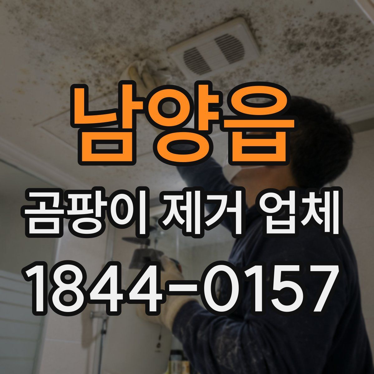 남양읍 곰팡이 제거 업체