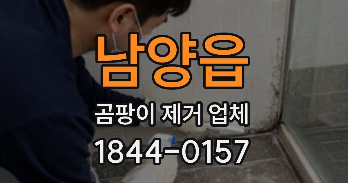 남양읍 곰팡이 제거 업체