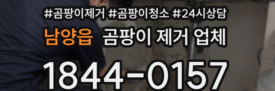 남양읍 곰팡이 제거 업체