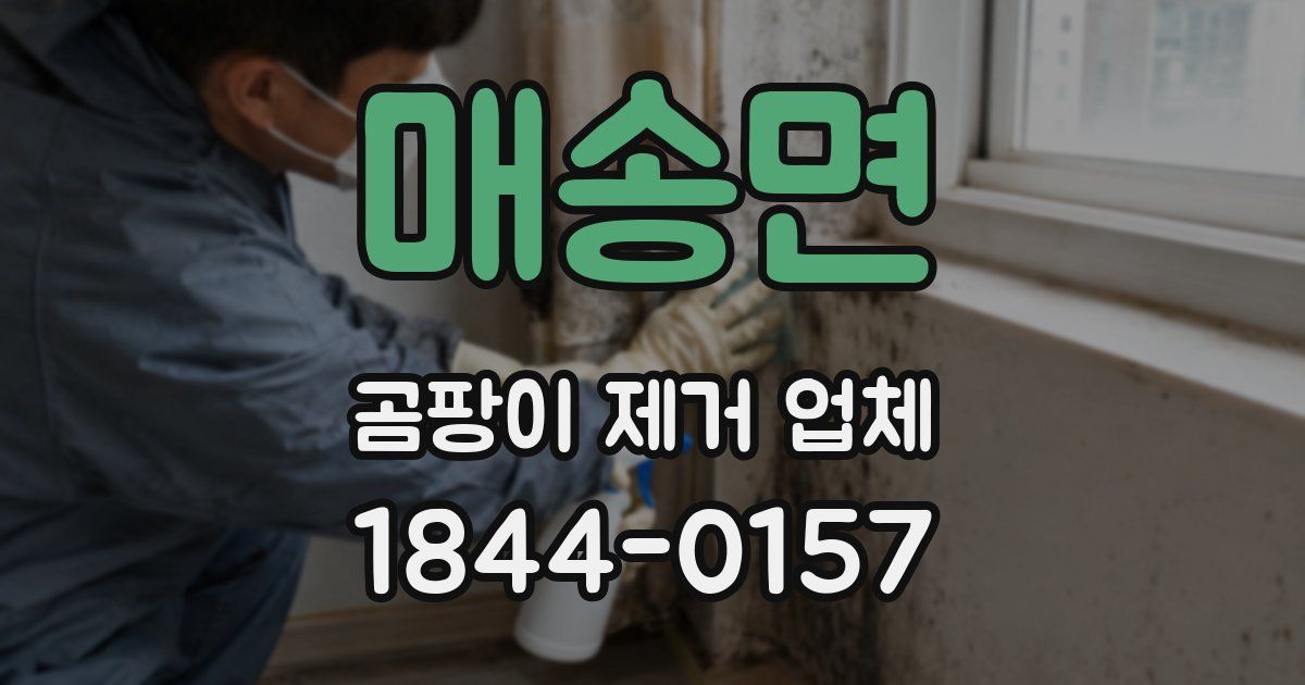 매송면 곰팡이 제거 업체
