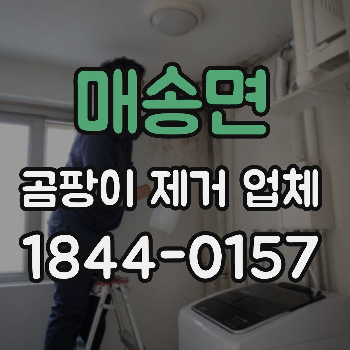 매송면 곰팡이 제거 업체