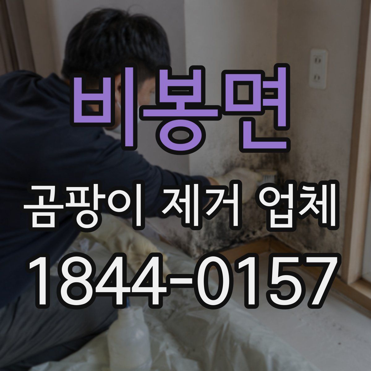 비봉면 곰팡이 제거 업체