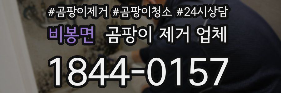 비봉면 곰팡이 제거 업체