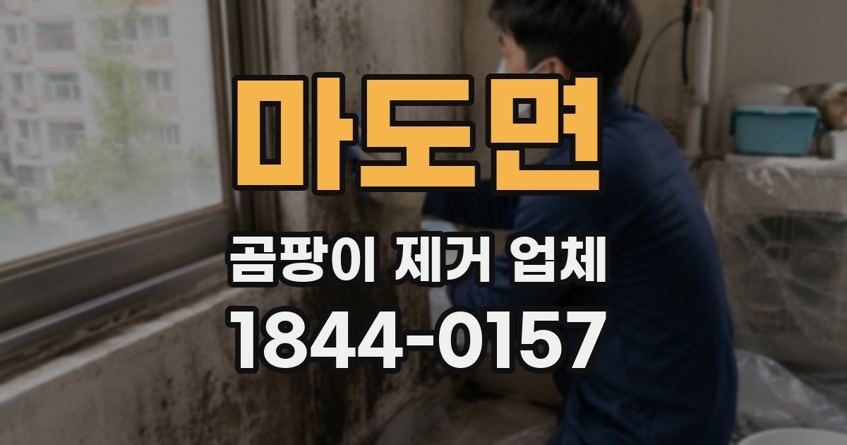 마도면 곰팡이 제거 업체