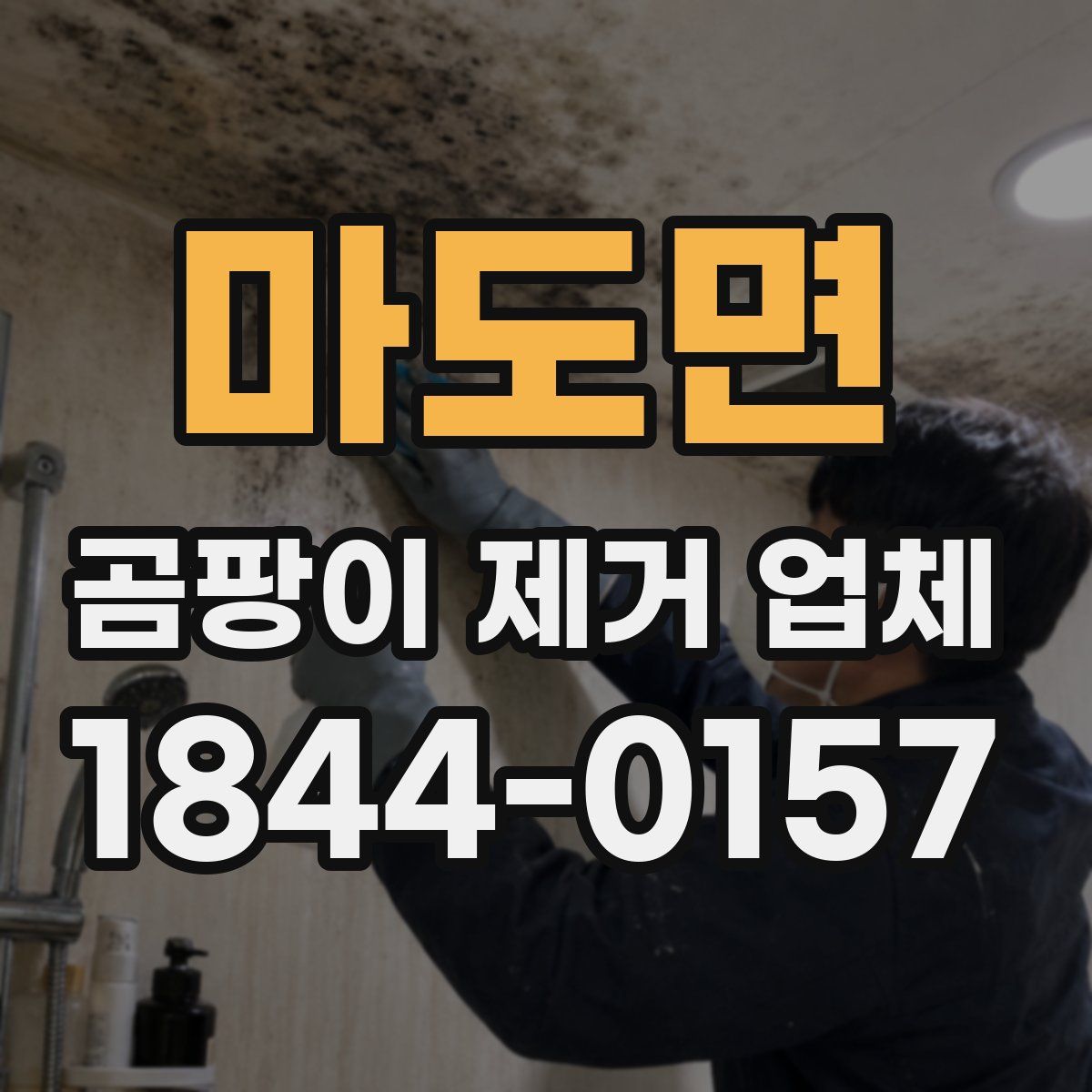 마도면 곰팡이 제거 업체