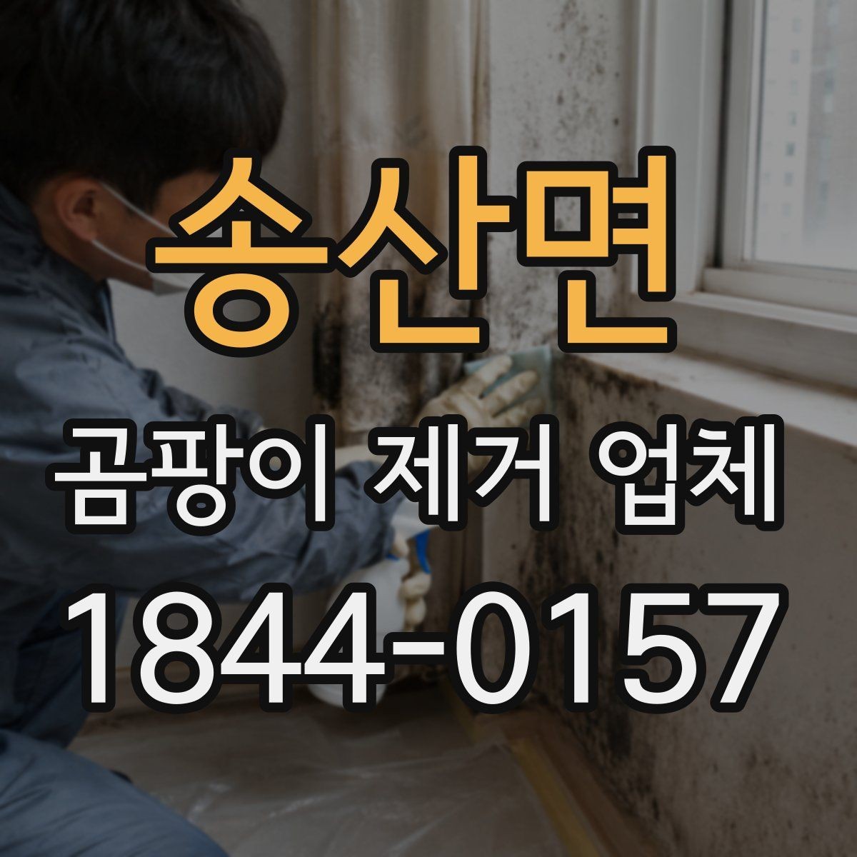 송산면 곰팡이 제거 업체 거실과 방별 제거 범위 판단 기준