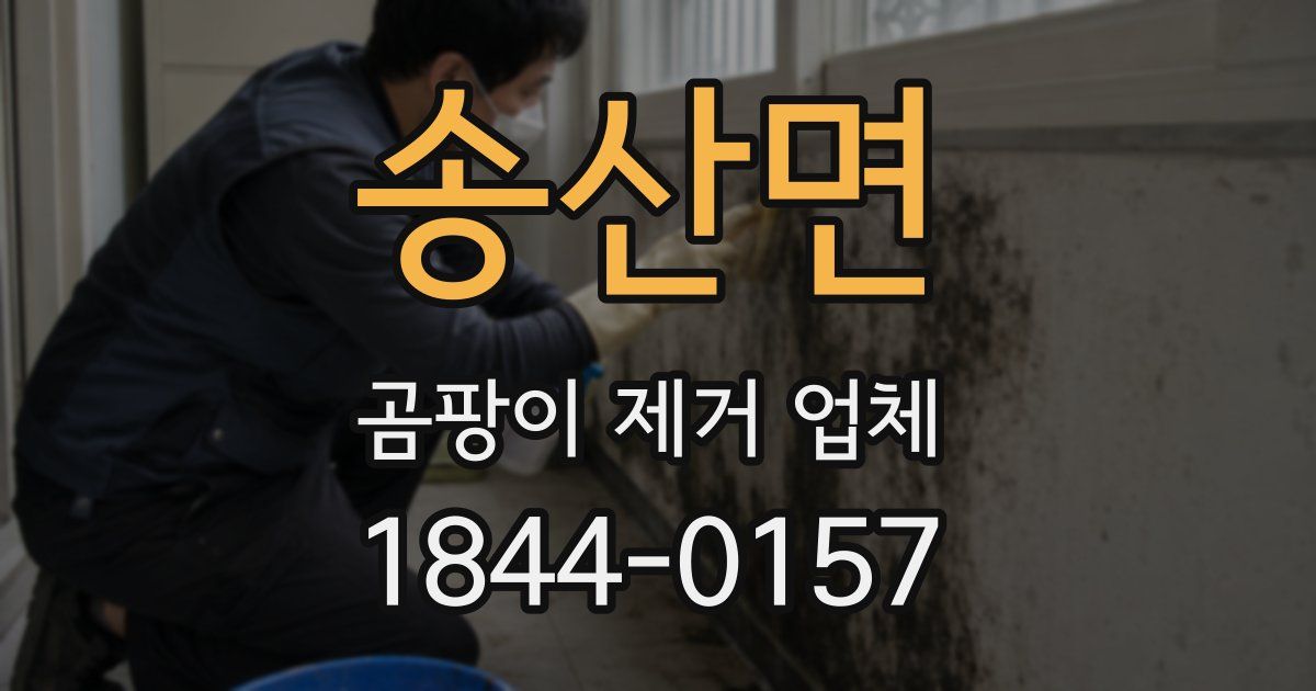송산면 곰팡이 제거 업체