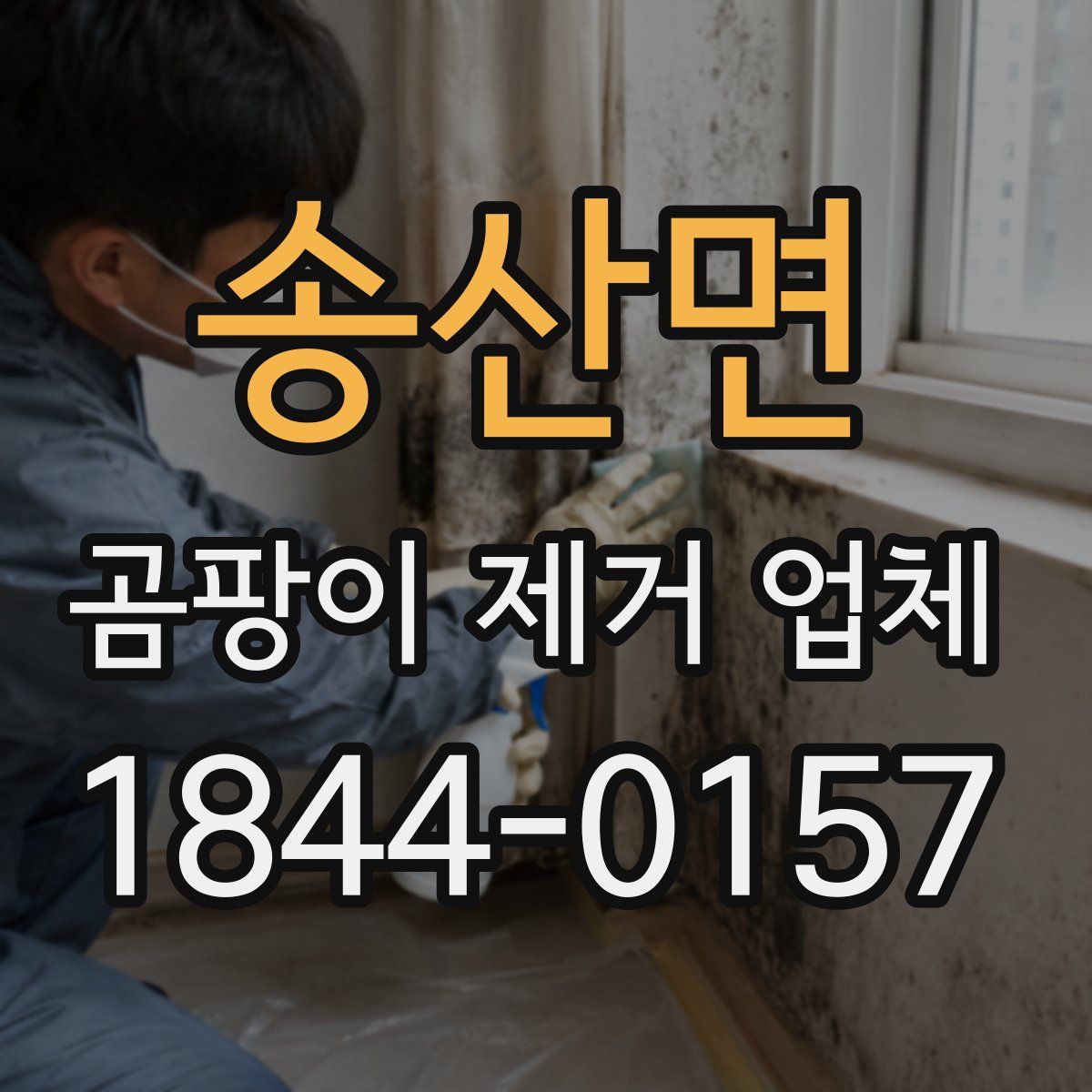 송산면 곰팡이 제거 업체