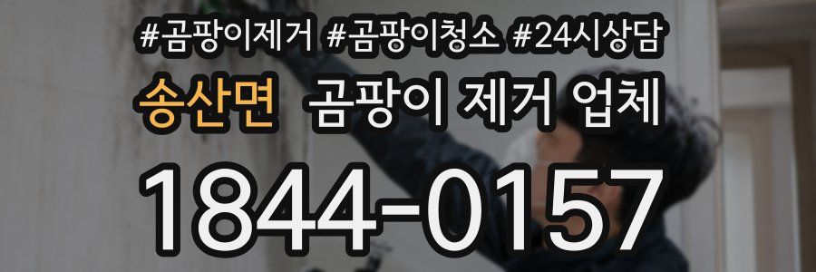 송산면 곰팡이 제거 업체