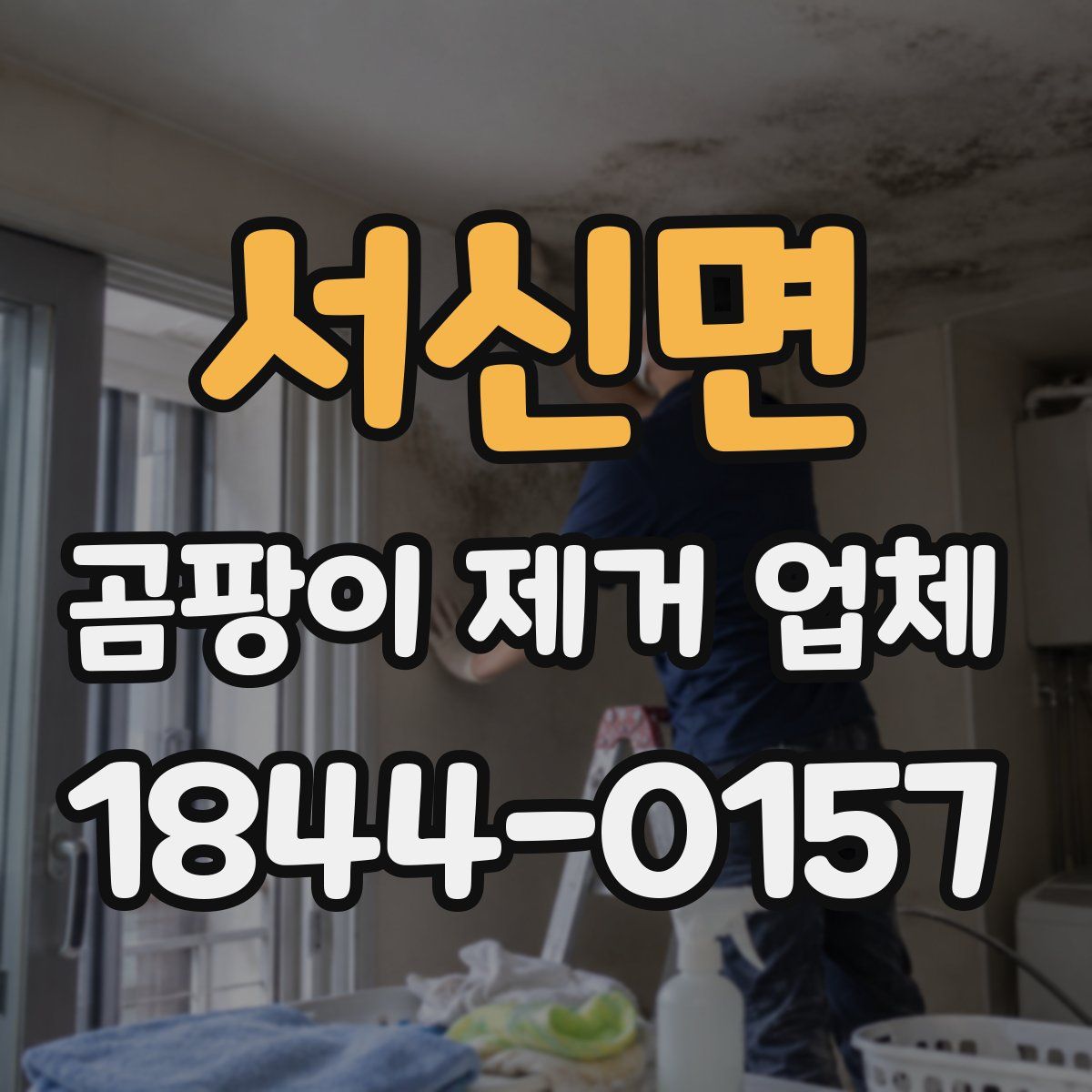 서신면 곰팡이 제거 업체