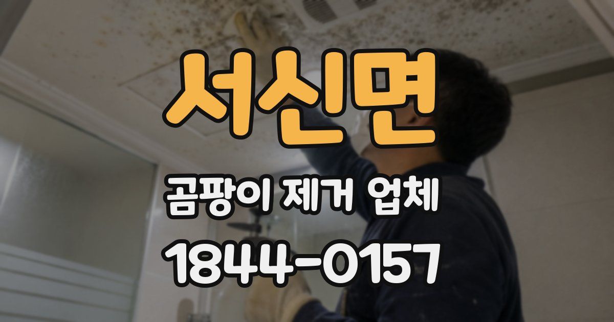 서신면 곰팡이 제거 업체