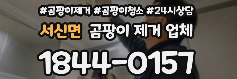 서신면 곰팡이 제거 업체