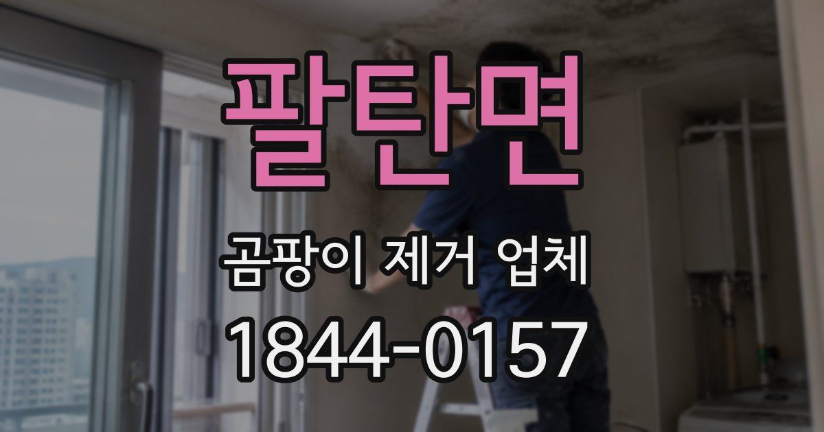 팔탄면 곰팡이 제거 업체