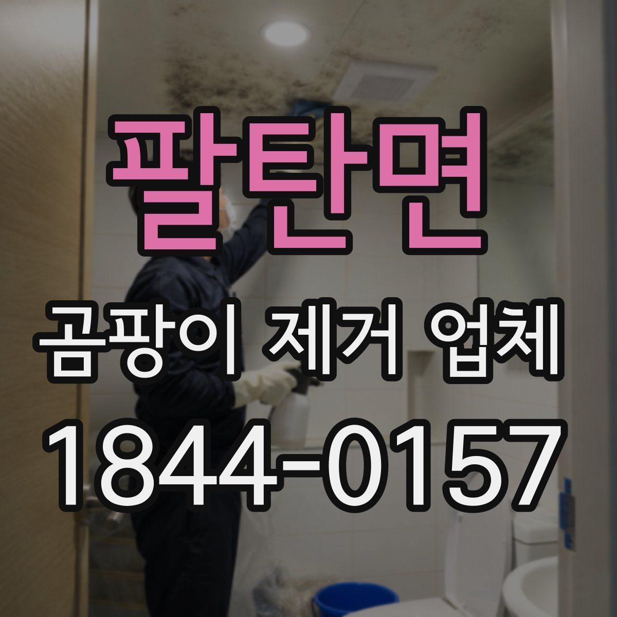 팔탄면 곰팡이 제거 업체