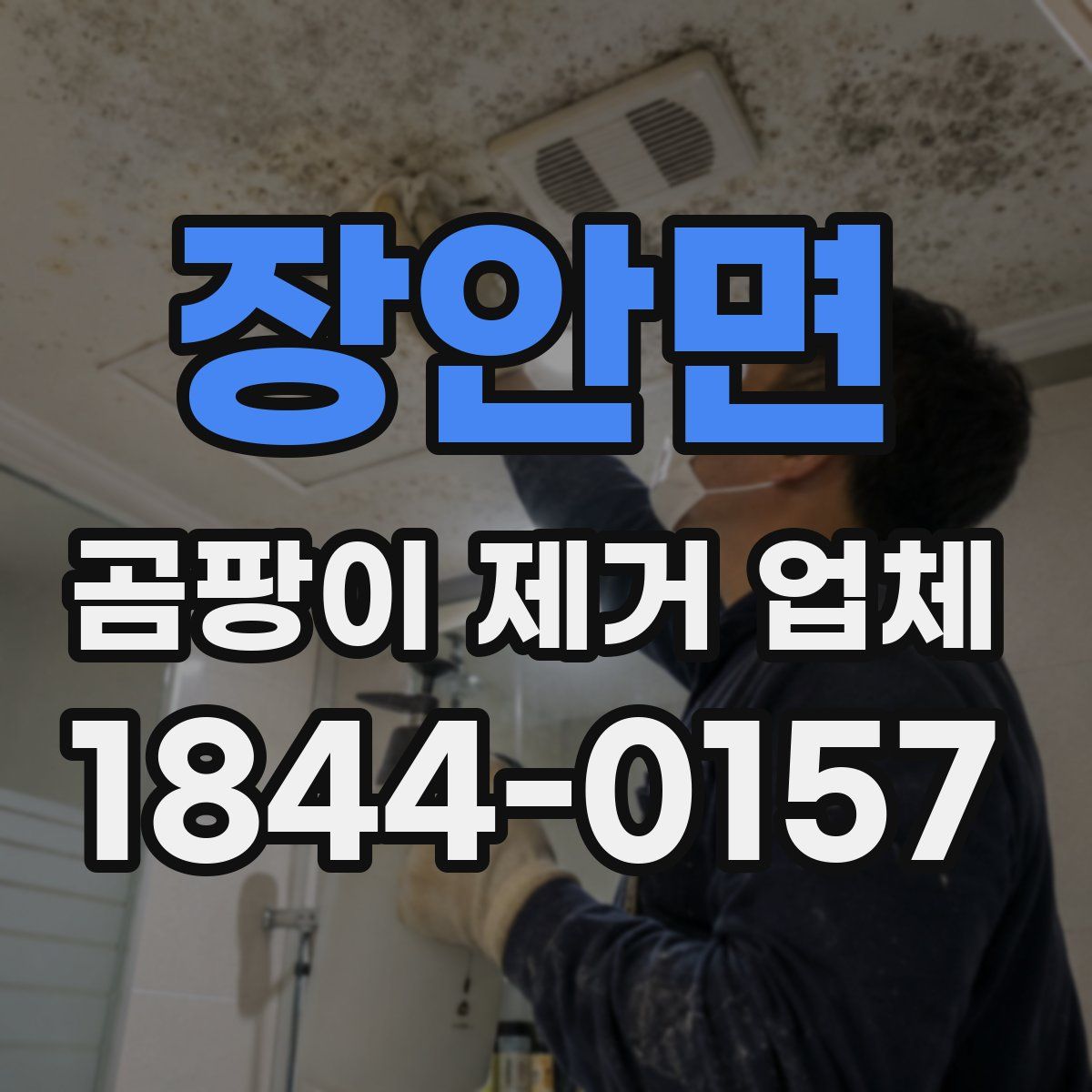 장안면 곰팡이 제거 업체