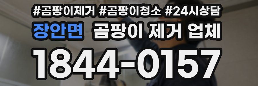 장안면 곰팡이 제거 업체