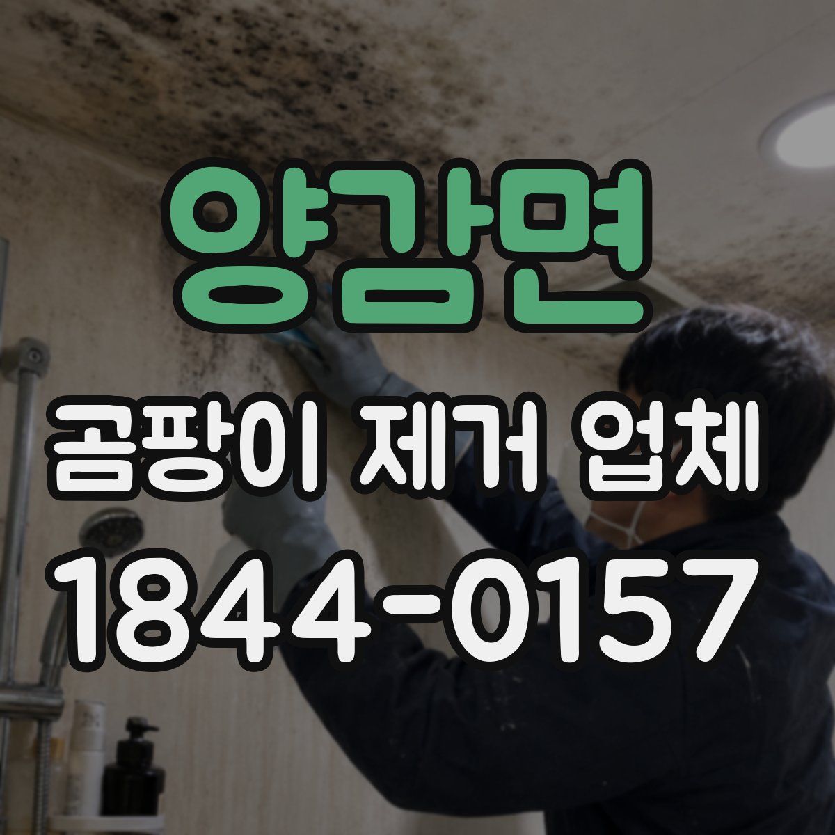 양감면 곰팡이 제거 업체