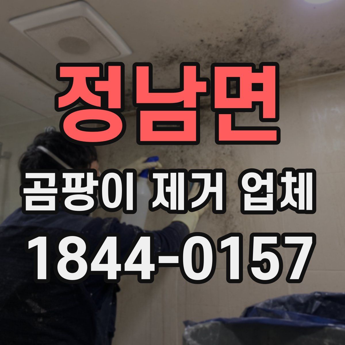 정남면 곰팡이 제거 업체