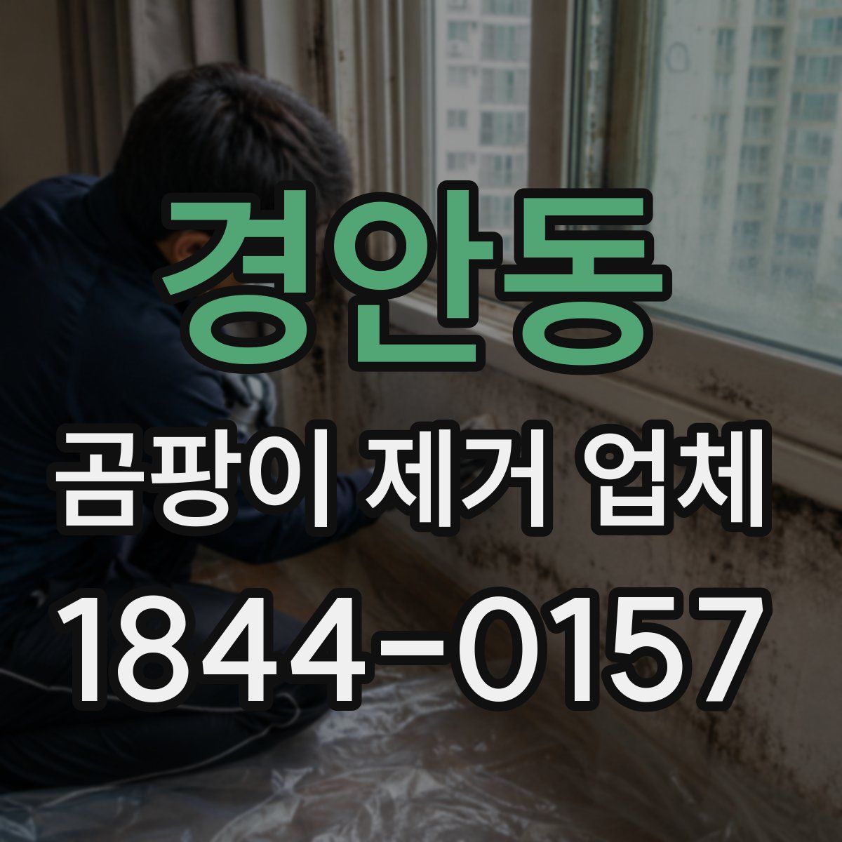 경안동 곰팡이 제거 업체