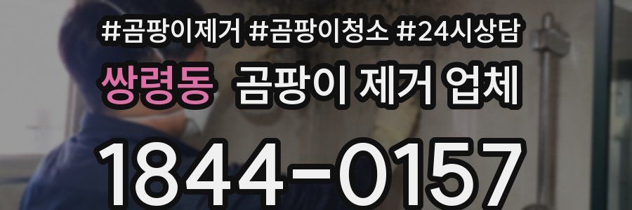 쌍령동 곰팡이 제거 업체