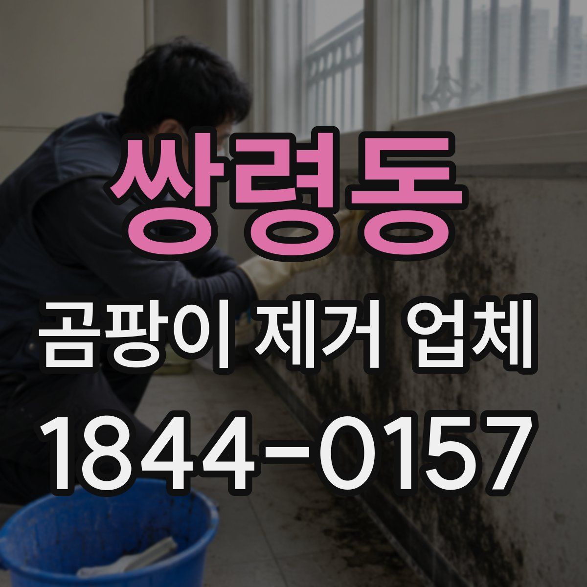 쌍령동 곰팡이 제거 업체