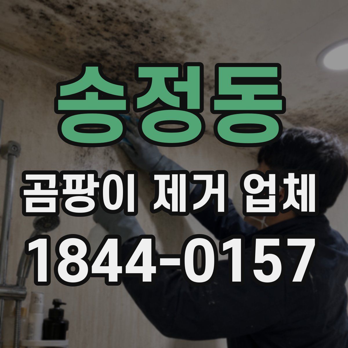 송정동 곰팡이 제거 업체