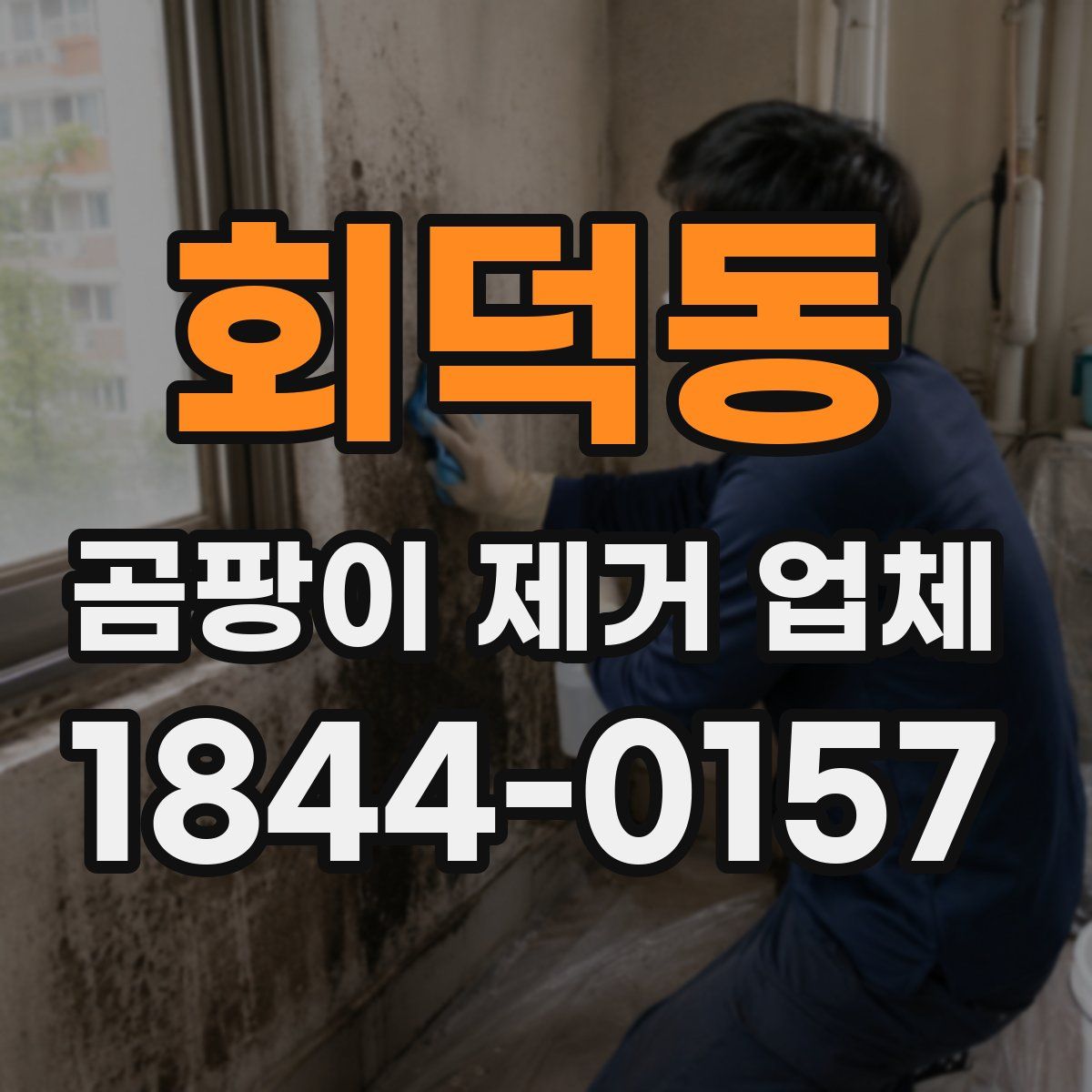 회덕동 곰팡이 제거 업체