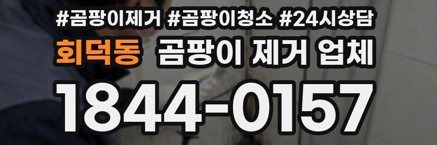 회덕동 곰팡이 제거 업체