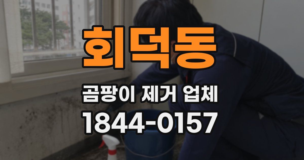 회덕동 곰팡이 제거 업체