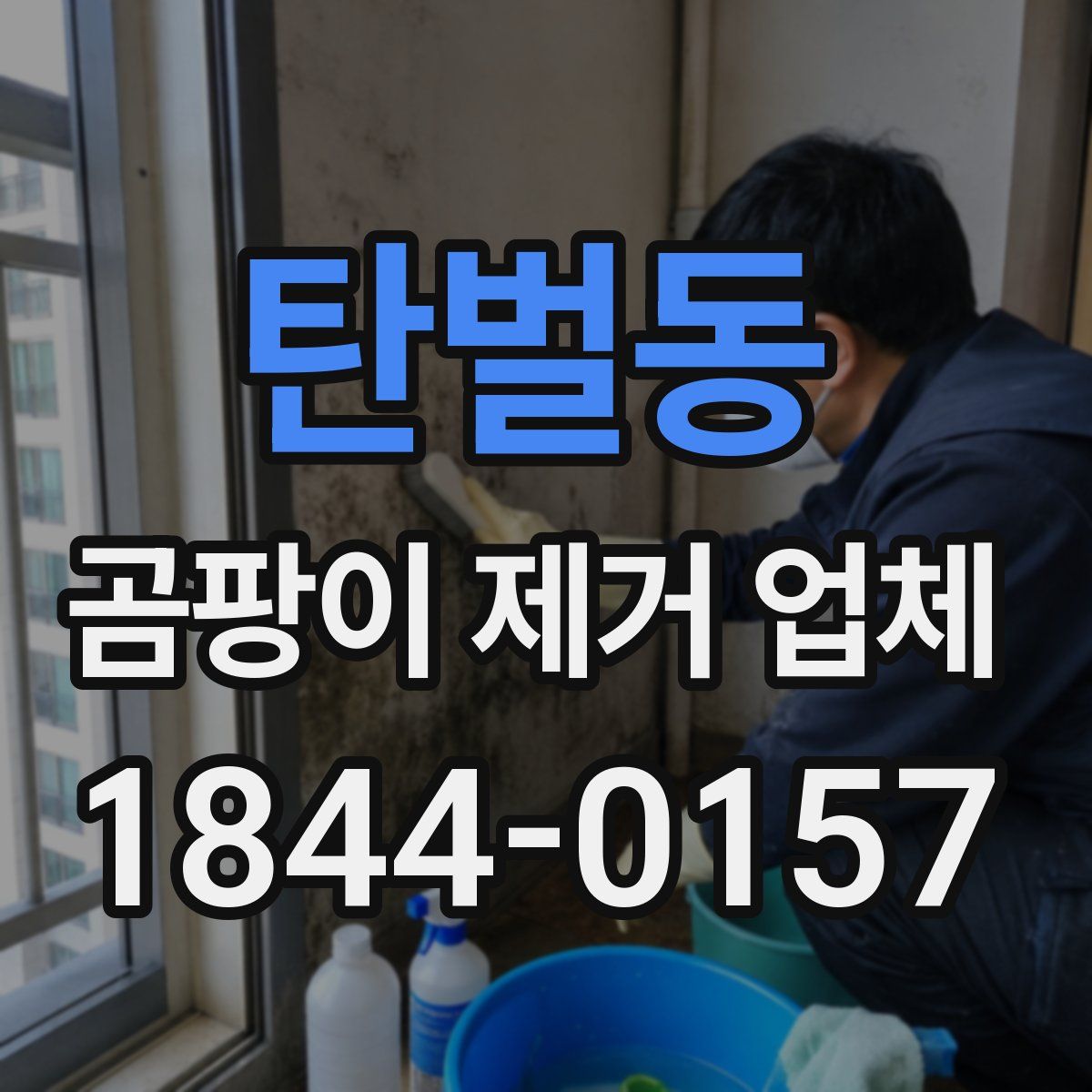 탄벌동 곰팡이 제거 업체
