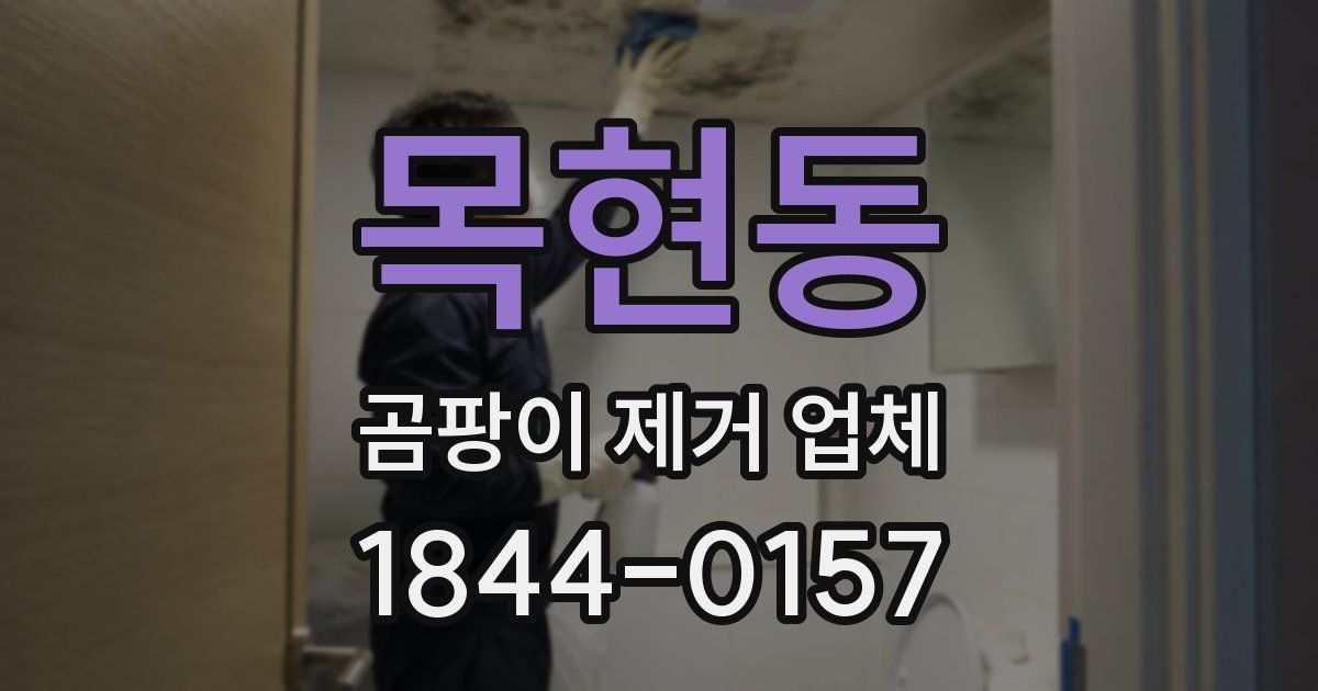 목현동 곰팡이 제거 업체