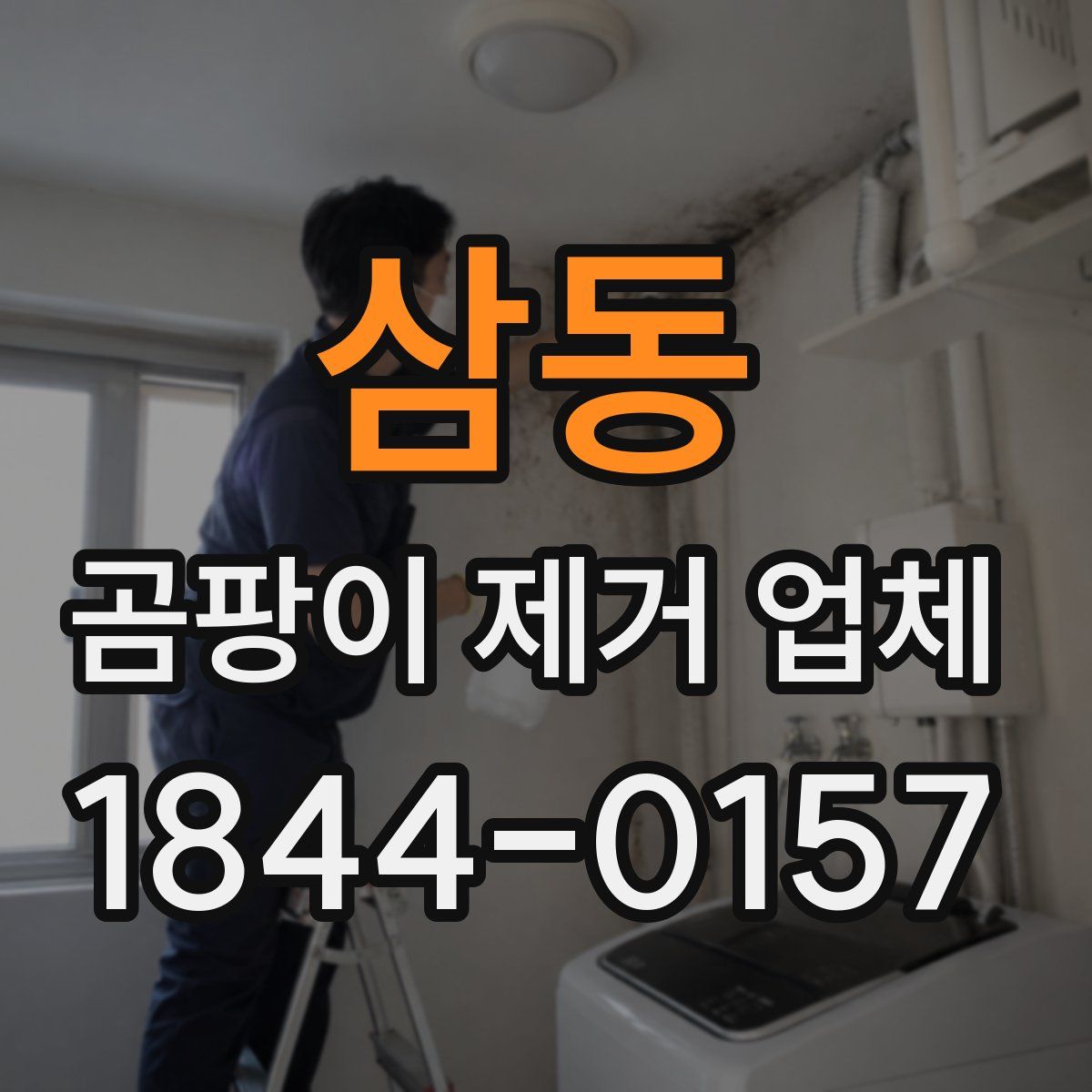 삼동 곰팡이 제거 업체