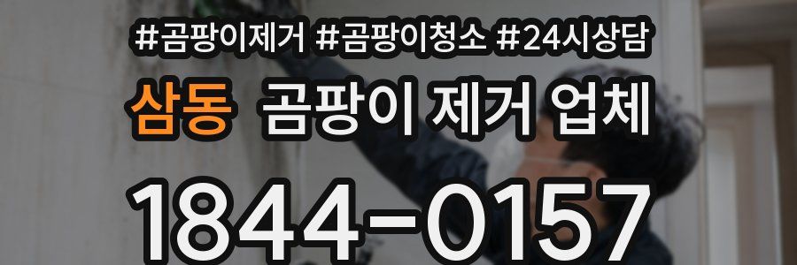 삼동 곰팡이 제거 업체